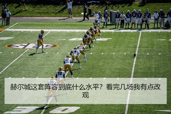he-er-cheng-zhe-tao-zhen-rong-dao-di-shen-me-shui-ping-kan-wan-ji-chang-wo-you-dian-gai-guan-2-823.jpg