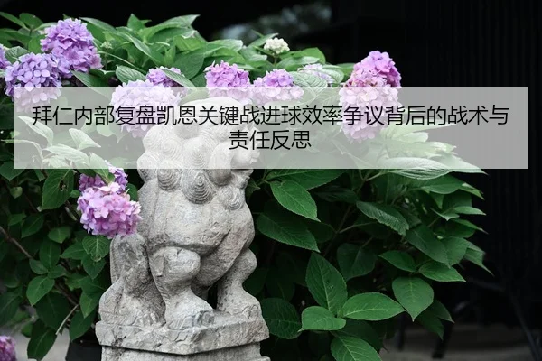 拜仁内部复盘凯恩关键战进球效率争议背后的战术与责任反思