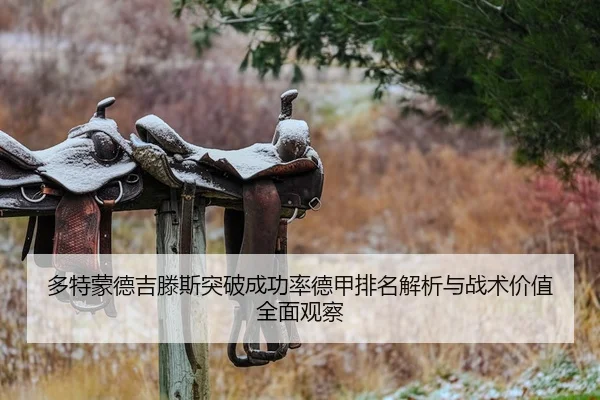 多特蒙德吉滕斯突破成功率德甲排名解析与战术价值全面观察