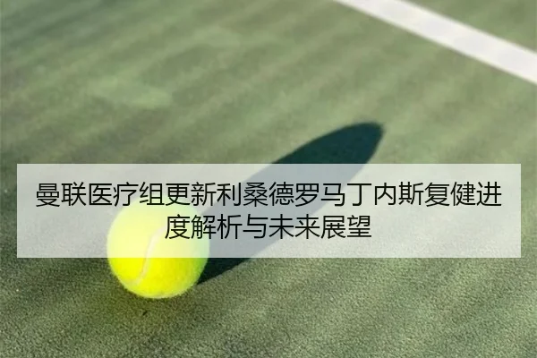 曼联医疗组更新利桑德罗马丁内斯复健进度解析与未来展望